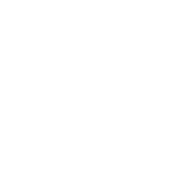 Villa_Madruzzo_logo